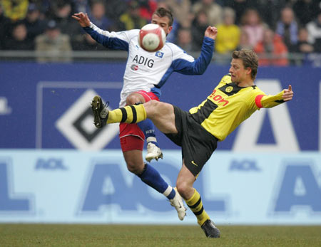 不仅填补了 不仅填补了